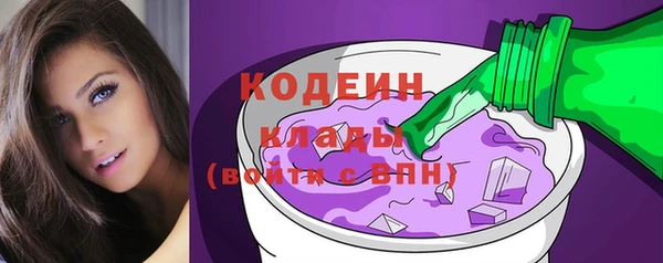 гашик Ельня